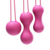 Ami - Kegel Exerciser - Pink
